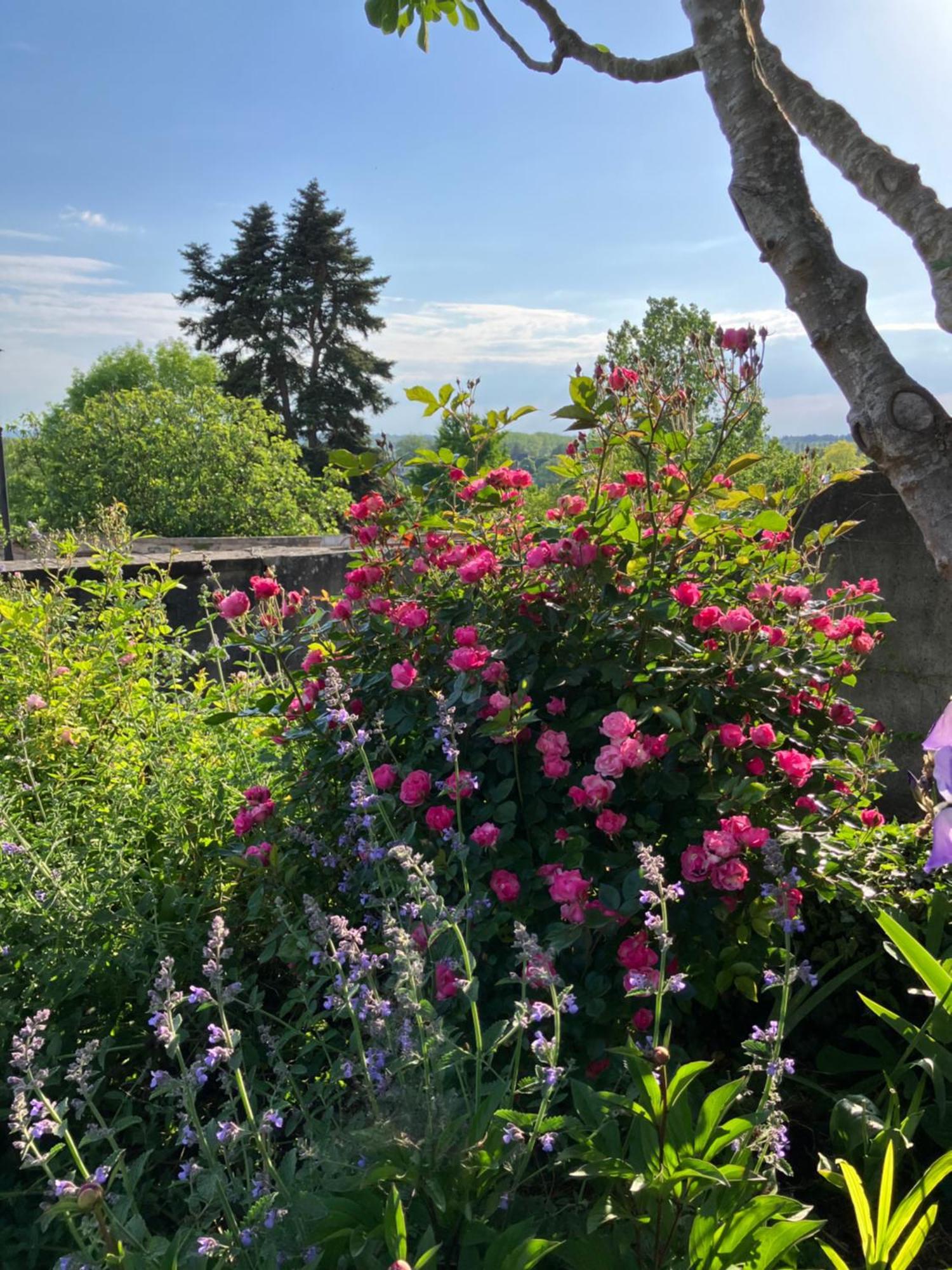 La Villa Lauvray Vétheuil Dış mekan fotoğraf